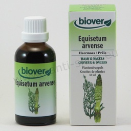 [BV017] Equisetum arvense tincture - Horse's tail - organic