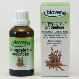 [BV023] Harpagophytum procumbens - Teinture mère de la Griffe du diable - bio