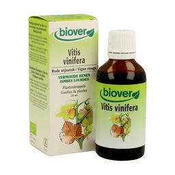 [BV047] Vitis vinifera - Rote Weinrebe Urtinktur - bio
