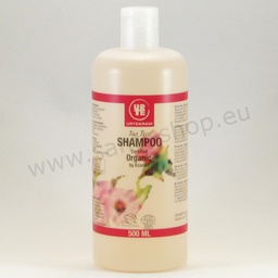 Bio Shampoo mit Teebaumöl